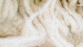 La pareja suponía que los bebés llegaban automáticamente luego de casarse.