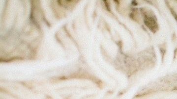 La pareja suponía que los bebés llegaban automáticamente luego de casarse.