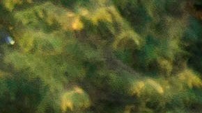 El Autobus del Barcelona llegando al estadio del Mallorca.