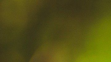 La estatura y los dientes del padrino le causaban mucho conflicto.