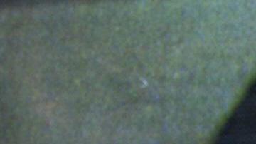 Betty Ting Pei, la última persona que vio con vida a Bruce Lee.