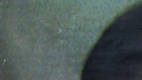 Betty Ting Pei, la última persona que vio con vida a Bruce Lee.