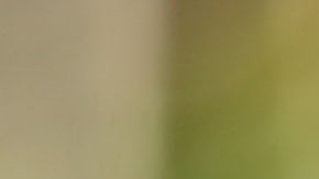 Bruce Lee, un ícono inmortal.