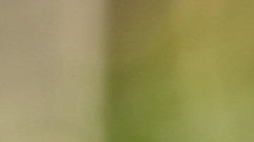 Bruce Lee, un ícono inmortal.