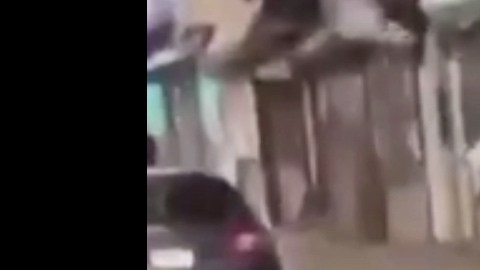 brutalidad policíaca
