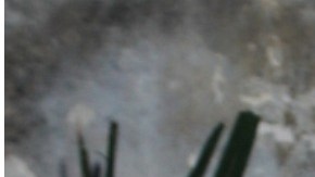 Casa de Marisol González