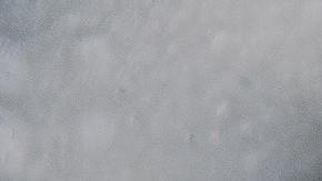 Foto: Daria Shevtsova/Pexels