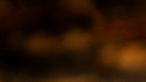 Estos conejos tienen el objetivo de atraer serpientes para luego ser capturadas.