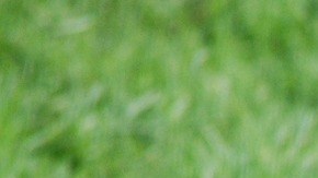 Los niños son los más vulnerables al mal de espanto.