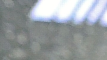 dana white conor mcgregor