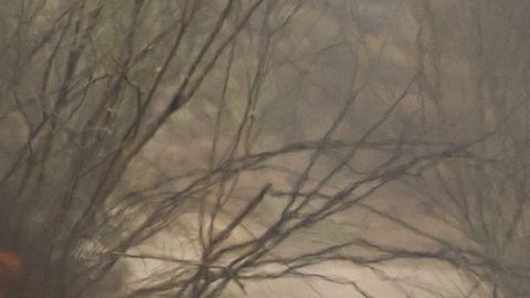 "Dime Quién Soy", la nueva serie de Telemundo International Studios y Movistar+. / Foto: Telemundo