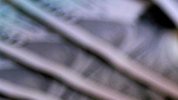 La propuesta sería para motivar a la gente a vacacionar al interior del país para reactivar la economía.