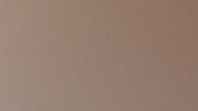 Un nuevo pago supondría un impulso a la economía que puede beneficiar a Trump.