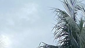 Pintadas en la estatua de Cristóbal Colón en el centro de Miami.