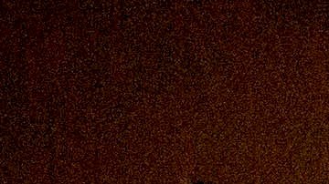 Buena parte de los nuevos contagios se están dando en el continente americano.