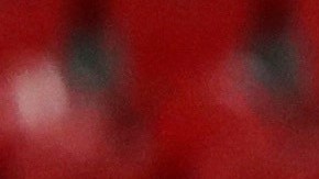 El espontáneo de Son Moix.