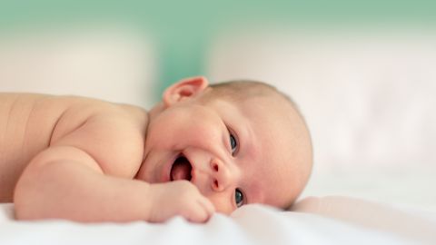 bebe