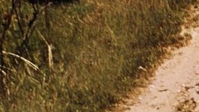 Wagon Ford Bronco Sport 1967.
Crédito: Cortesía Ford.