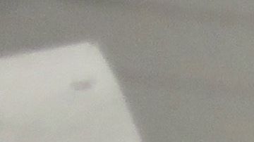 ICE ha sido criticada por activistas por arrestos en medio de la crisis por coronavirus.