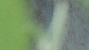 Aleja la envidia de tus amistades con estos sencillos pasos.