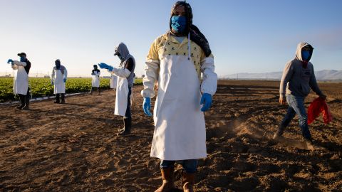Trabajadores del campo en Homestead, al sur de Florida.