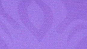 Jacqueline Bracamontes