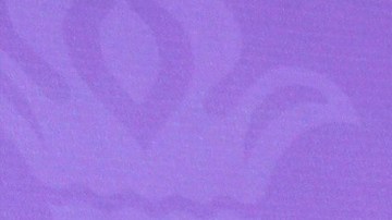 Jacqueline Bracamontes