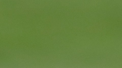 Lautaro Martínez, estrella del Inter de Milán.