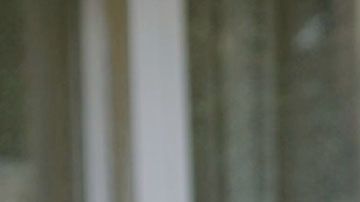 “Ma Ma” con Penélope Cruz, te pondrá los pelos de punta.