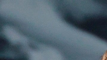 El Real Madrid, una jornada más en la cima.