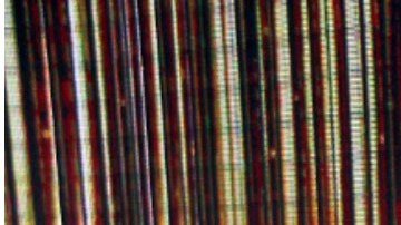 Mansión Galilea Montijo