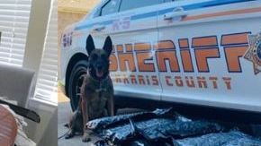 Las bolsas se encuentran con la Policía.