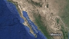 Sismo de 7.5 sacudió varios estados de México.