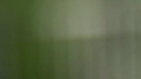 Descubre el significado de soñar con serpientes.