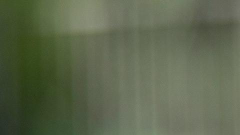 Descubre el significado de soñar con serpientes.