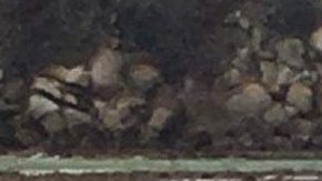 El epicentro del sismo fue en Oaxaca.