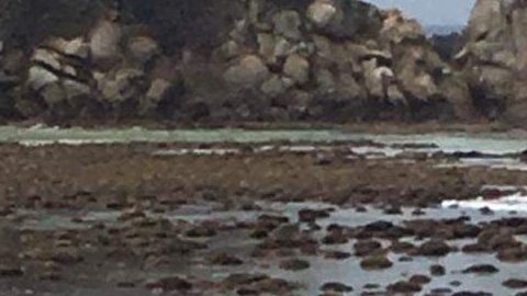 El epicentro del sismo fue en Oaxaca.