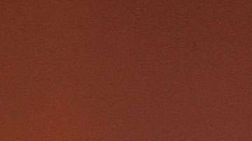 Pablo Montero, cantante mexicano.