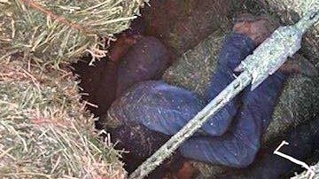 indocumentados pastura