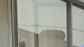 José Ángel Salas agradece a su padre José Salas que le haya dado la ciudadanía de EE.UU. (Cortesía Paulina Herrera)