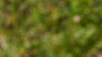 Los amarres influyen en los sentimientos de una persona.