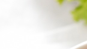 pollo-sopa-Adelia Rosalinda en Pixabay