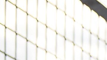 renee gracie onlyfans