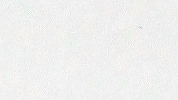 El último informe de desempleo podría ser determinante para saber si se aprobará o no un segundo cheque de estímulo.