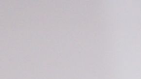 shutterstock_1307014738