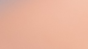 shutterstock_1480988021 (1)