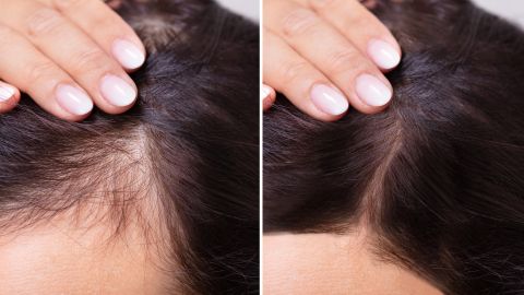 shutterstock_1480988021 (1)