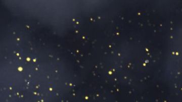 La NASA detectó que el asteroide pasará cerca de la Tierra.