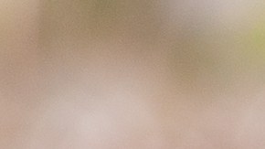 Trabajo infantil en el campo.