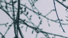 Los fenómenos dentro de este tipo de viviendas que generan miedo son producidos por situaciones que pueden explicarse perfectamente por la ciencia.